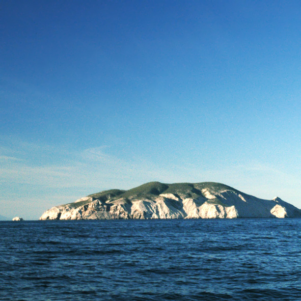 Visitar la Isla San Pedro Mártir – SONORA, MARAVILLAS NATURALES